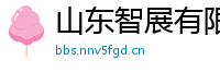 山东智展有限公司